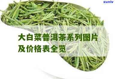 大白菜茶饼价格查询-大白菜茶饼价格查询表