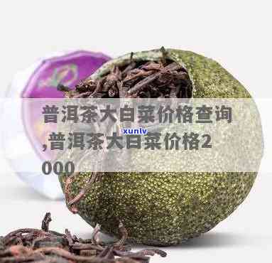 大白菜茶饼价格查询-大白菜茶饼价格查询表