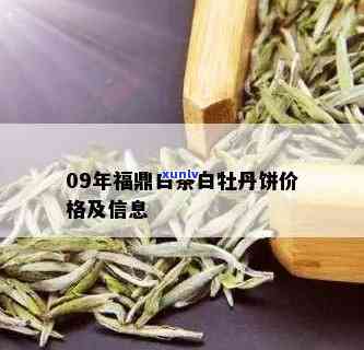 福鼎白牡丹茶饼价格-福鼎白牡丹茶饼价格表