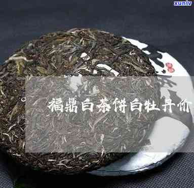 福鼎白牡丹茶饼价格-福鼎白牡丹茶饼价格表