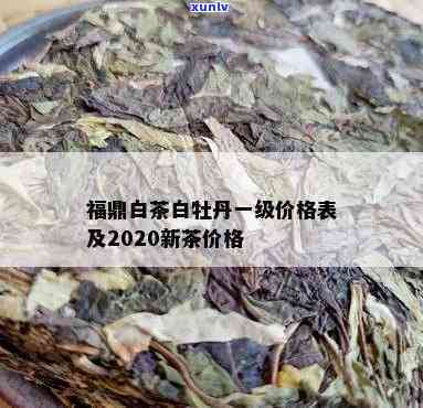 福鼎白牡丹茶饼价格-福鼎白牡丹茶饼价格表