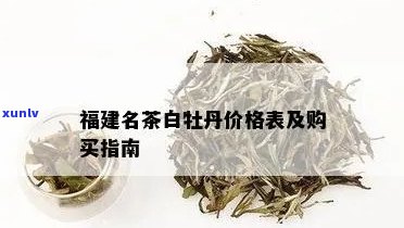 闽白茶白牡丹价格：查询与比较全网最新价格