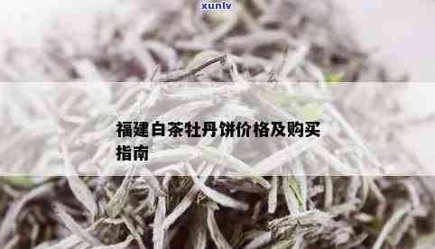 闽峰白牡丹茶饼价格-闽峰白牡丹茶饼价格多少