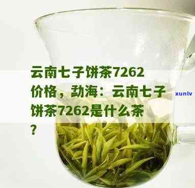 勐海七子茶饼好喝吗多少钱，品味云南风情：试喝勐海七子茶饼，价格如何？