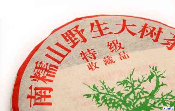 2006年福海茶厂南糯山古树茶，探秘古老韵味：2006年福海茶厂南糯山古树茶的魅力