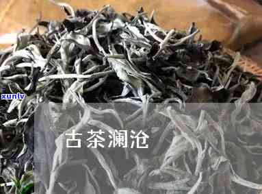 澜沧古茶07828的价格是多少？