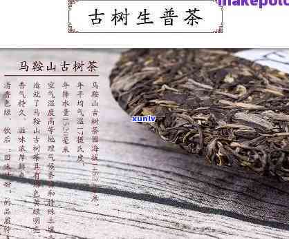 马家千年古茶价格-马家千年古茶价格表