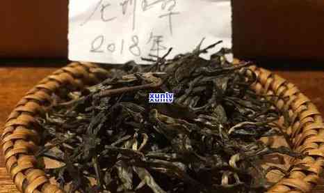 无量山古树红茶价格，探寻无量山古树红茶的珍贵价值：价格解析与购买建议