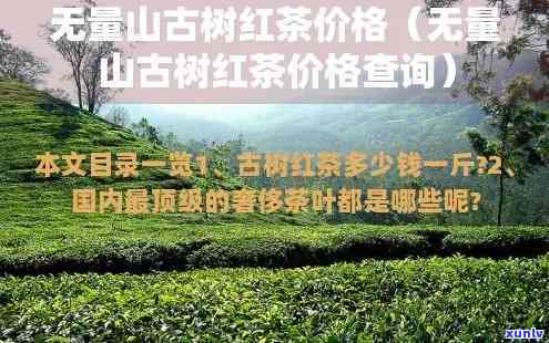 无量山古树红茶价格，探寻无量山古树红茶的珍贵价值：价格解析与购买建议