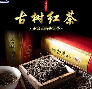 无量山古树红茶典藏-无量山古树红茶价格