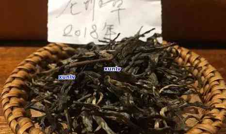 无量山古树红茶价格多少钱一公斤，探究无量山古树红茶的市场价格，每公斤价值几何？