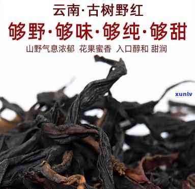 无量山古树红茶价格-无量山古树红茶价格多少钱一公斤