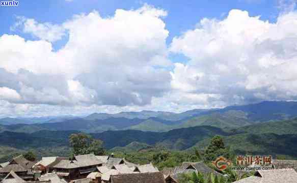 勐茶区有哪些寨子-勐茶区有哪些寨子名称