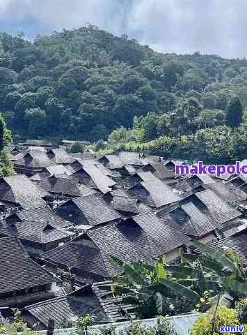 探寻勐茶山好喝寨子，一探究竟