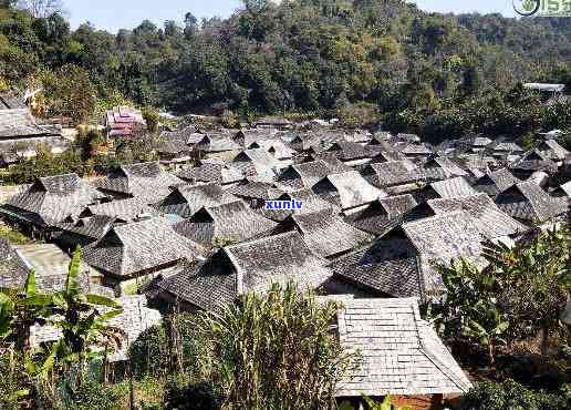 勐茶山有哪些寨子，探秘云南勐茶山：揭秘其独特寨子文化