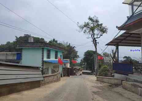 勐海勐茶山村寨，探索云南勐海勐茶山村寨的独特魅力