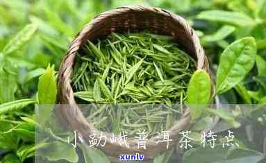 小勐峨茶的口感特点-小勐峨属于什么档次茶