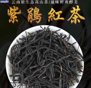 云南紫娟红茶，探秘云南紫娟红茶：一种独特的中国红茶品种