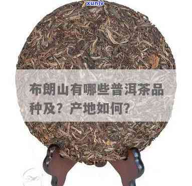 布朗山有哪些普洱茶，探秘布朗山：揭秘其丰富的普洱茶品种