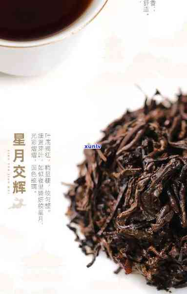 普洱茶价格查询：如意普洱茶市场行情全解析