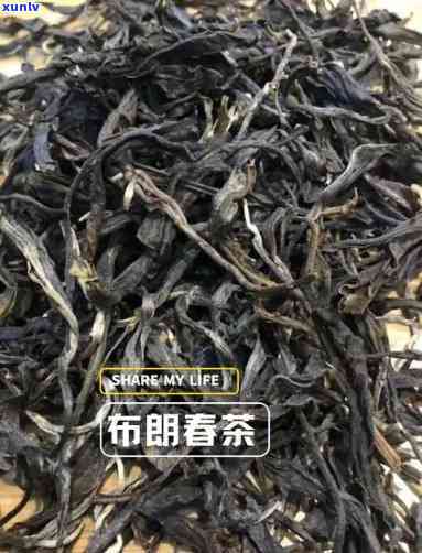 14年布朗山茶价格-14年布朗山茶价格多少