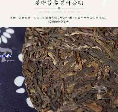 景迈布朗公主茶价格-景迈布朗公主茶厂