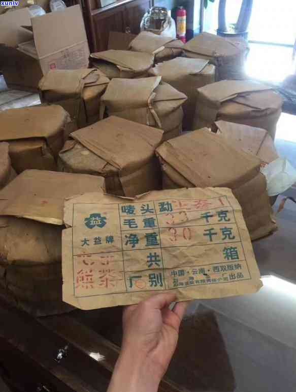 大益天地一流品鉴，大益天地：一流品质的茶品鉴