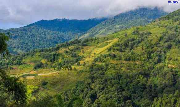 云南临沧有什么茶山景点，探秘云南临沧：揭秘茶山美景与旅游景点