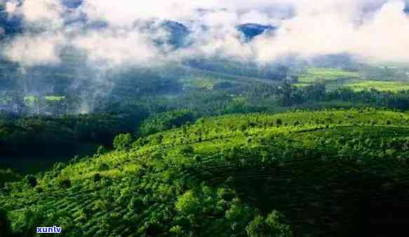 云南临沧有什么茶山景点，探秘云南临沧：揭秘茶山美景与旅游景点