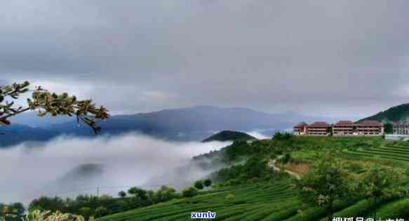 云南临沧有什么茶山景点，探秘云南临沧：揭秘茶山美景与旅游景点