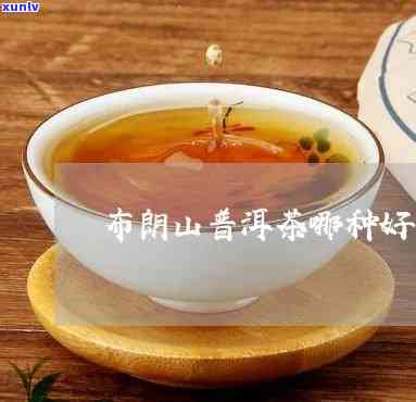 云南布朗山什么茶好-云南布朗山什么茶好喝