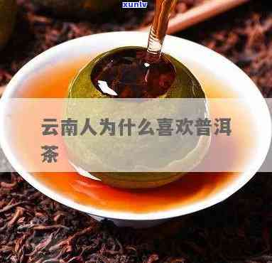 孕妇饮用普洱茶的安全性：全面解冑与风险分析