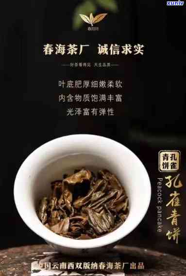 海茶厂布朗山雀青饼：勐海茶厂与布朗古树的联合力作，精选春海茶厂的优质茶叶制成，口感醇厚，回味无穷。