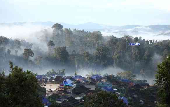 布朗茶山有哪些寨子名称，探寻布朗茶山：揭秘其独特的寨子名称