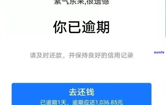 借呗逾期后，能否继续在有钱花借款？