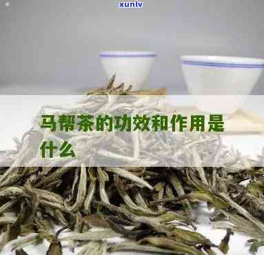 云南马帮茶是什么茶-云南马帮茶是什么茶叶