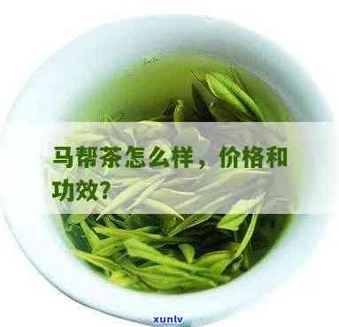 云南马帮茶是什么茶-云南马帮茶是什么茶叶