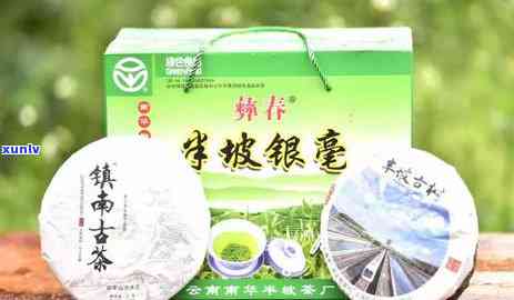 云南临沧银毫茶业，探寻优质茶叶：走进云南临沧银毫茶业