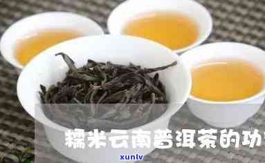 云南糯米茶是什么茶-云南糯米茶是什么茶类