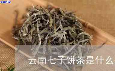 云南七子茶是什么茶-云南七子茶是什么茶叶