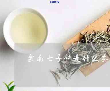 云南七子茶是什么茶-云南七子茶是什么茶叶