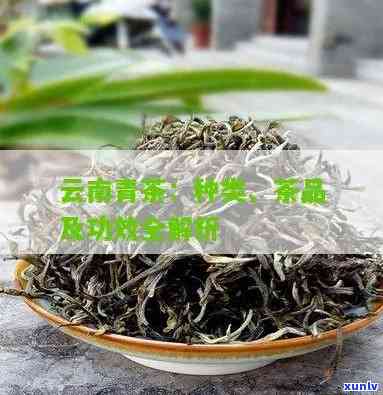 云南青茶属于什么茶-云南青茶属于什么茶类