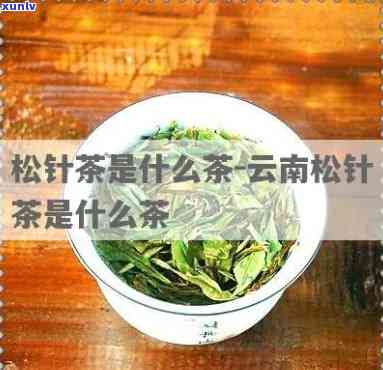 云南松针茶：什么类型的茶叶？它是如何制成的？