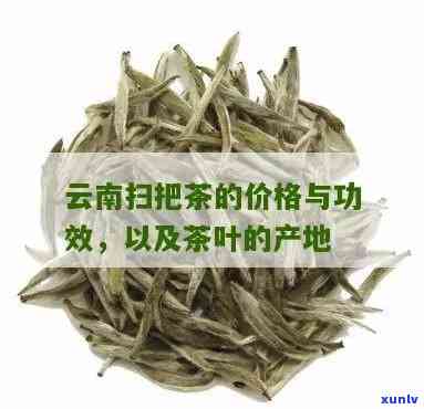 扫把茶是云南哪里的茶，揭秘云南特色：扫把茶究竟产自何处？