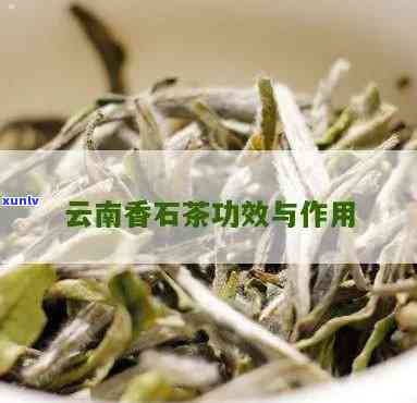 云南石头茶：揭示其独特作用与功效