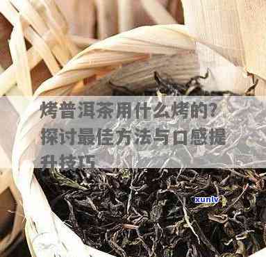 云南烤茶用的什么茶-云南烤茶用的什么茶叶