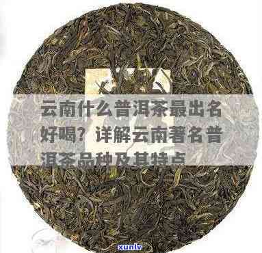 云南当地人偏爱哪种普洱茶？探讨云南本地人常喝的普洱茶品种