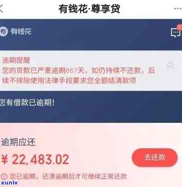 有钱花逾期一个半小时：结果及解决办法