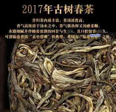 昔归古树秋茶价格表-2017年昔归古树秋茶价格