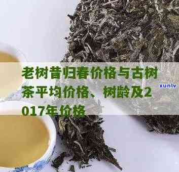 昔归古树秋茶价格表-2017年昔归古树秋茶价格